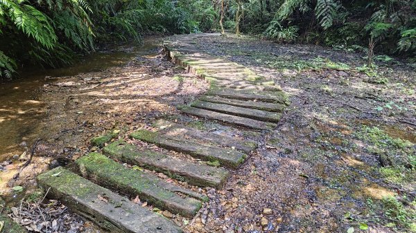 柴寮古道、中坑古道