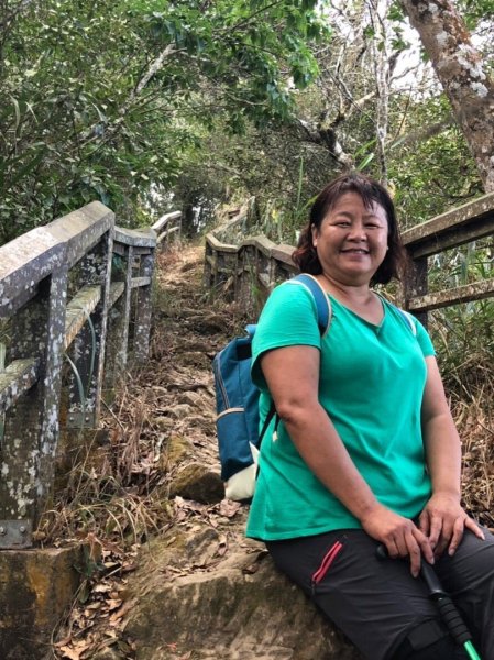 驚驚車程的九份二山之賞梅趣503674