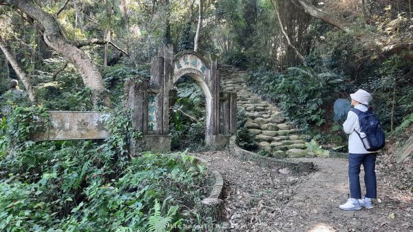 《新竹》湖口老街｜金獅古道O繞茶香及仁和步道202412062663706