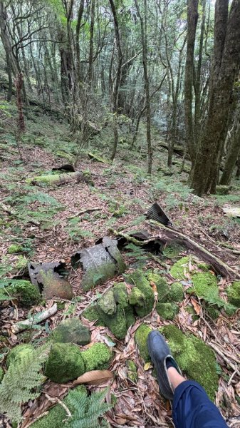 再也不爬囉（告別20252973149