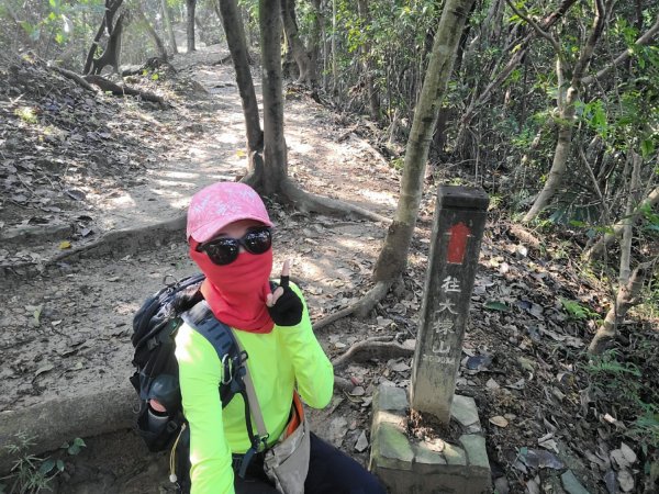 小百岳大棟山405m.青龍嶺.三角埔頂山.鳶山岩2059816