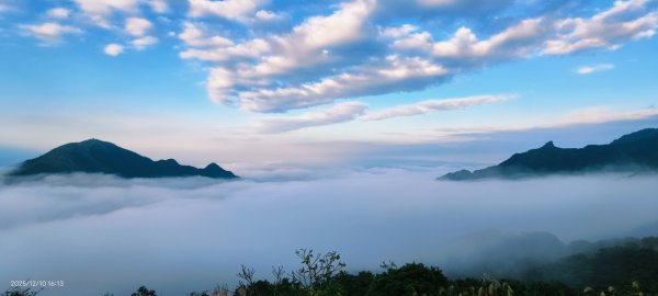 #樹梅坪 #金瓜石 12/102958904