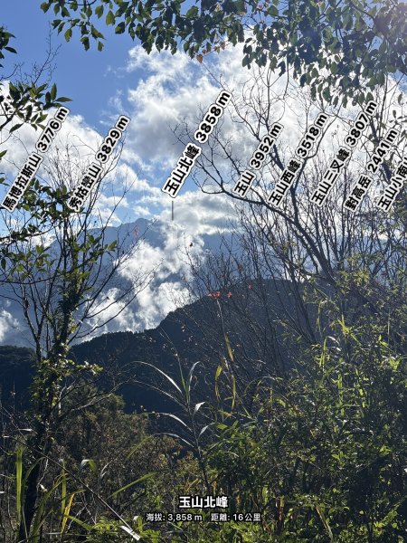 20251225塔山步道(大塔山)2970353