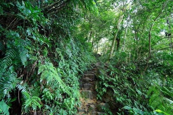 臺北 二格山、南邦寮山、阿柔洋山2570411