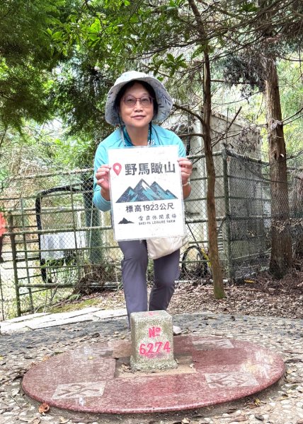 清泉 雪霸農場 野馬瞰山2925913
