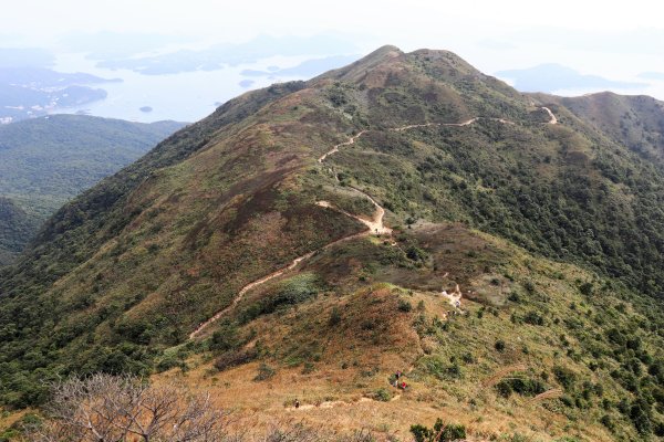 HK - 馬鞍山 (三角石河)1270474