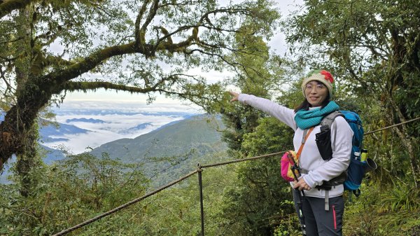 美到爆，觀霧國家森林遊樂區檜山巨木群步道2677768