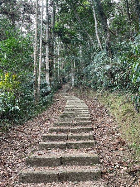 【忠の水社大山】~遠眺日月潭與群山-202302052063594