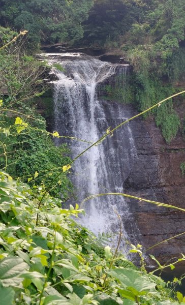 聖人瀑布➡️聖人崙➡️雙溪山+梅花五弄➡️帕米爾公園➡️聖人橋O型2797043