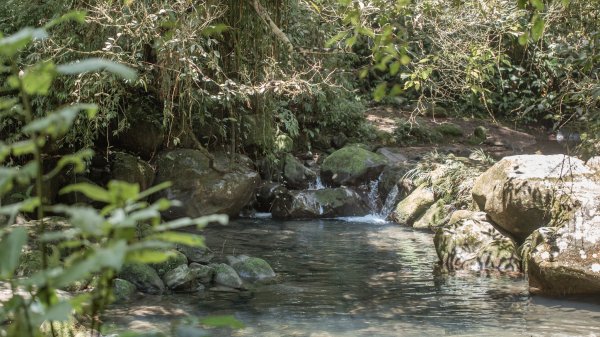 馬胎古道 （馬胎一期、南坪古道、內灣老街）3073852