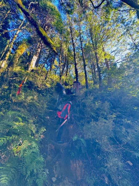 走入魔幻森林 探訪三星池與妹池2950189