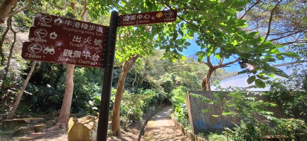 【2024觀音觀鷹尋寶任務】一日走完七條步道完成!2508411