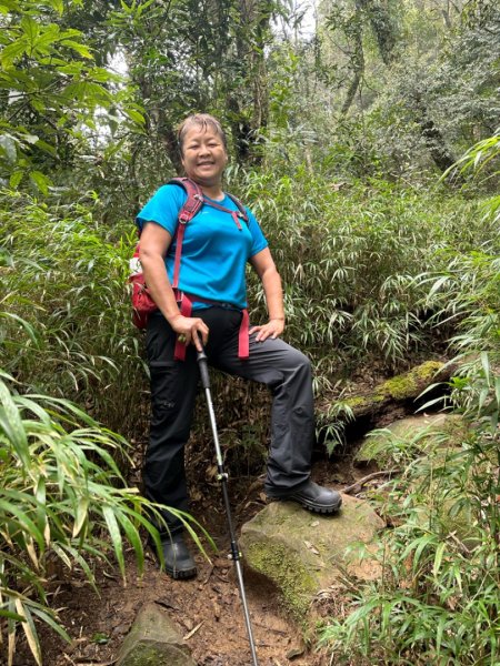 鵝公髻山（小百岳）鵝公髻山東北峰2449821