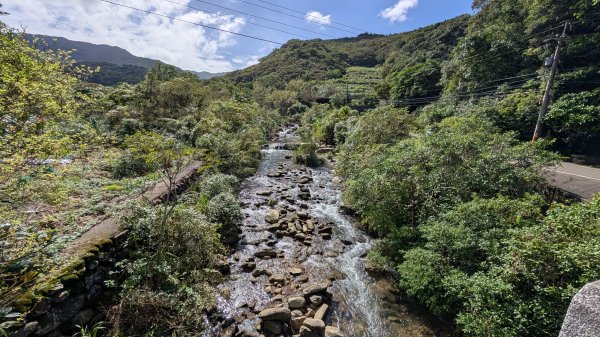 114.11.09草嶺古道芒花季之旅2932939