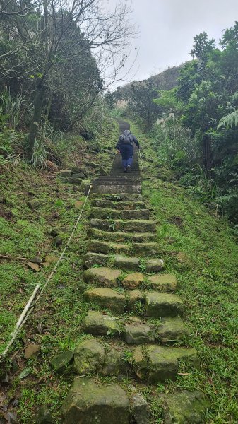 2021-1230 百二崁、燦光寮、貂山古道、地質公園步道O型1565411