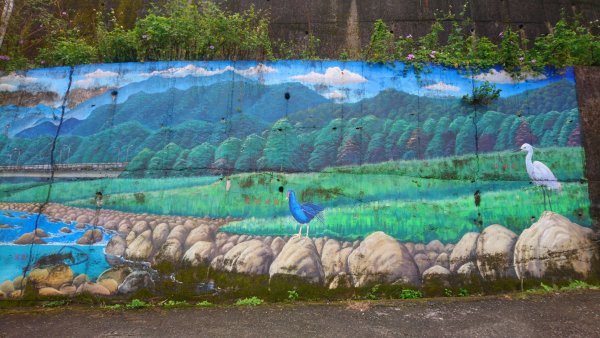 鹿谷芙蓉步道1530298