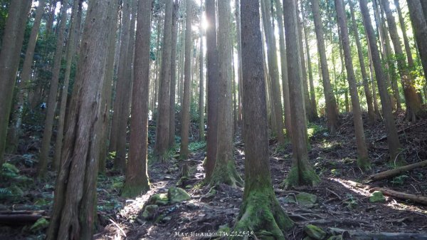 《苗栗》遺世鐵道｜悠遊加里山大坪支線至避難山屋202508222867479
