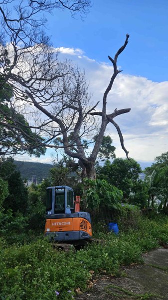 20250924法雨寺步道-鳳梨宅-第八公墓-詹氏宗祠-泉源國小宿舍-東昇路菜園-緣園農場2894210