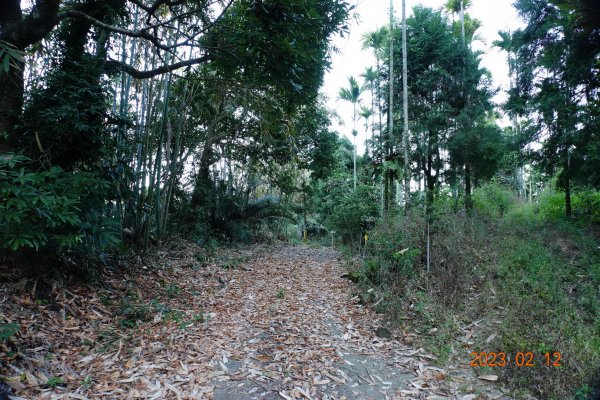 高雄 那瑪夏 頂河表湖山(河表湖山、霍比亞湖山)2032150