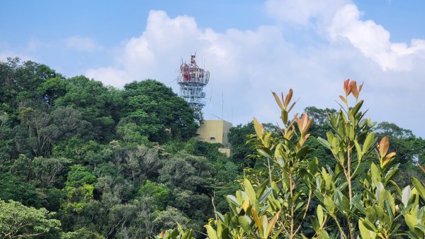 郡大山，郡大山北峰，望鄉山，白冷山，頭嵙山，黑山北峰，大坑4號，大坑3號，挑水古道，快官健行步道2299306