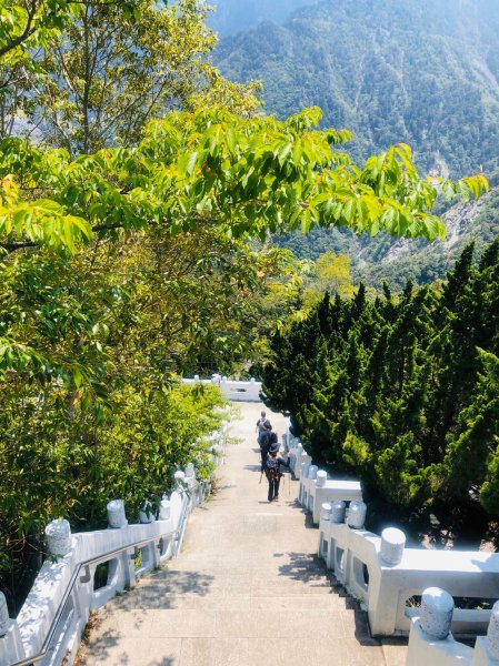 1090413中之關天池-初嚐梅子雞940959