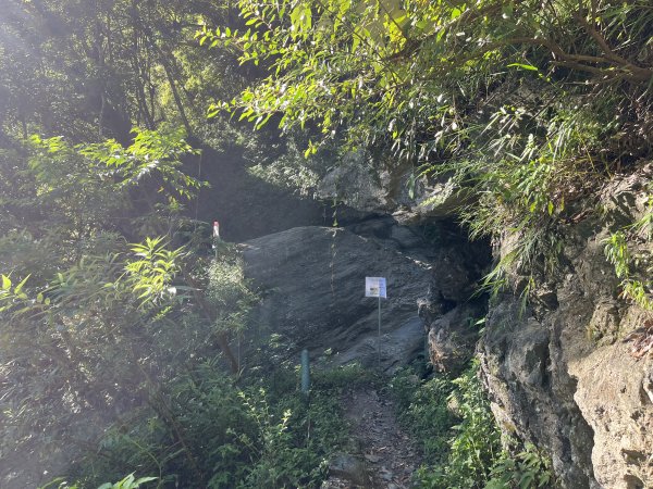 [玉山尋寶任務-03/12] 2025_0810 瓦拉米步道2857503