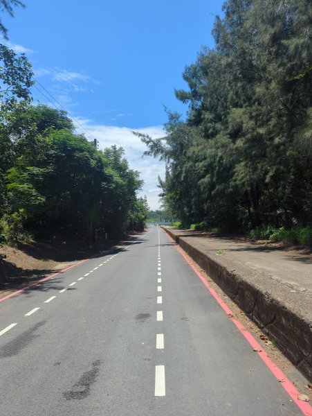 2025.07.26－霄裡好風光：觀音~新屋自行車道2847841