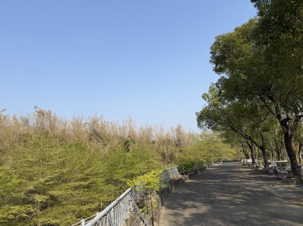 2026_0307 高雄田寮元辰殿3016336