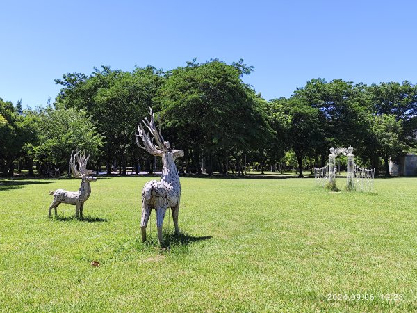 大安森林公園、花博公園圓山園區、基隆 【走路趣尋寶】【臺北健走趣】2589017