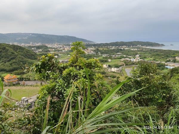 大直美麗華百樂園、內湖路一段737巷廟會遶境、萬里和金山風光3031487