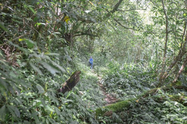 闊瀨古道-沿北勢溪谷而行的夏末之旅（淡蘭古道）2287667