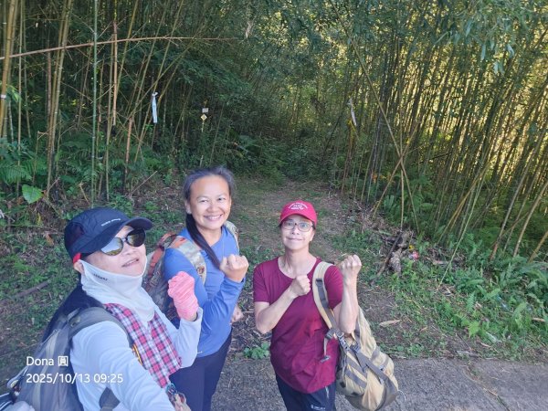 復興三尖老么之那結山1520m(嘎色鬧上)全紀錄2915473