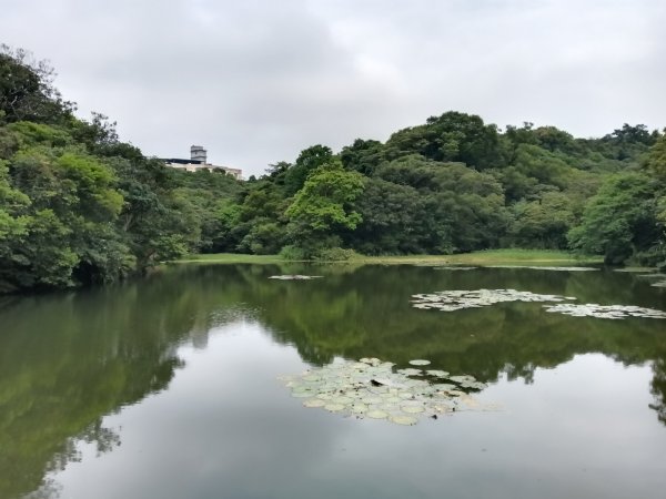 基隆市總督府(嶺)步(古)道-五坑山-五坑湖3038913