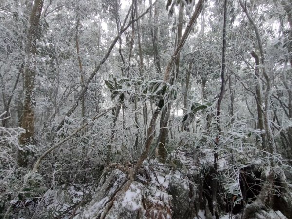 雪季北得拉曼2956380