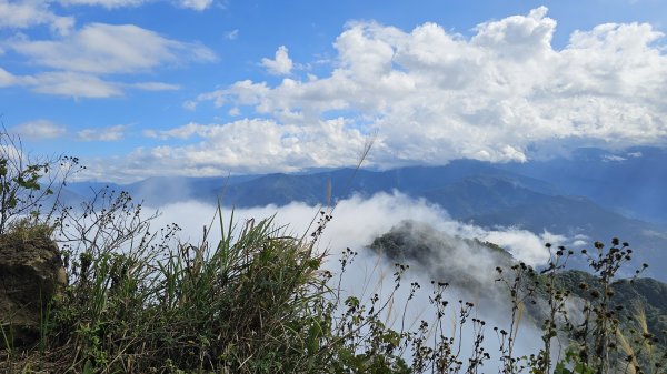 【馬年走馬山，馬到就成功！】🐴馬年馬路要走，馬那邦🏔️也要登！O繞11K，爬升900M，🥾腿在2977193