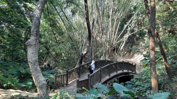 《彰化》卦山少林｜花壇西來園（銀行山）登山步道202412012657901