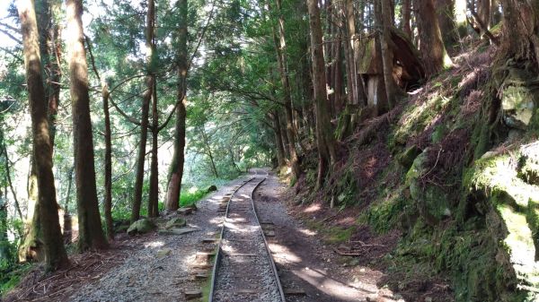 自忠(兒玉)山+東水山+特富野古道縱走206738