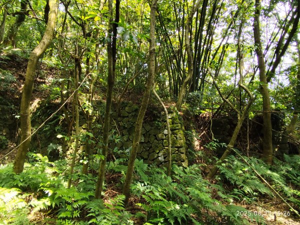 【臺北大縱走 1+2】2-2 大屯主峰-連峰步道→下青礐步道→貴子坑步道→忠義山步道→楓丹白露步道2866913