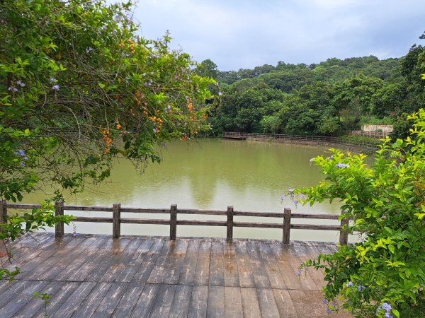 2026森遊竹縣：寶山迴龍步道，環湖步道3107252