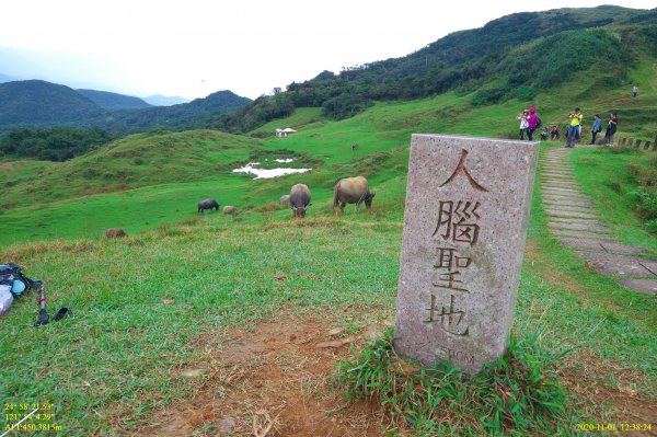 芒裡偷閒-大嶺古道飛越桃源谷1155247