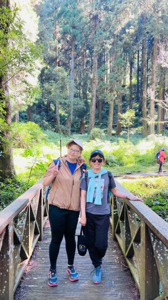 🌈10/11（日）消失的阿里山森林鐵路FB：熊熊趴爬走(富裕登山社)🌈3134730