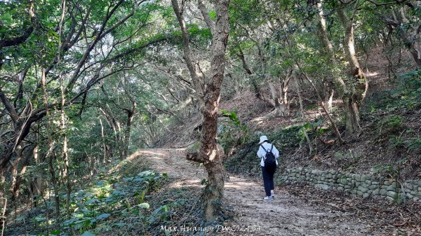 《彰化》卦山少林｜花壇西來園（銀行山）登山步道202412012657892