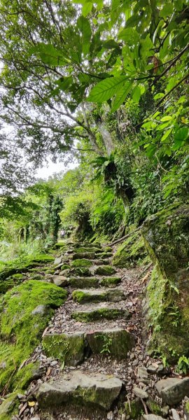 花蓮瑞穗．富源國家森林遊樂區景觀步道202602203013176