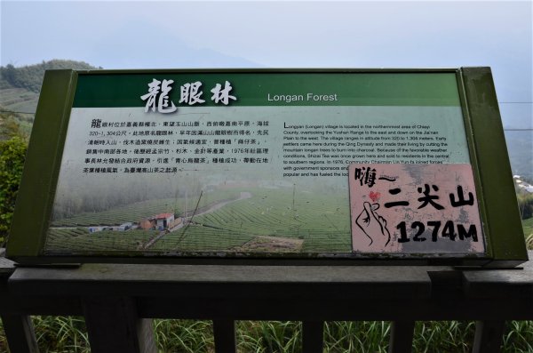 後棟仔山 & 雲嘉大尖山1378306