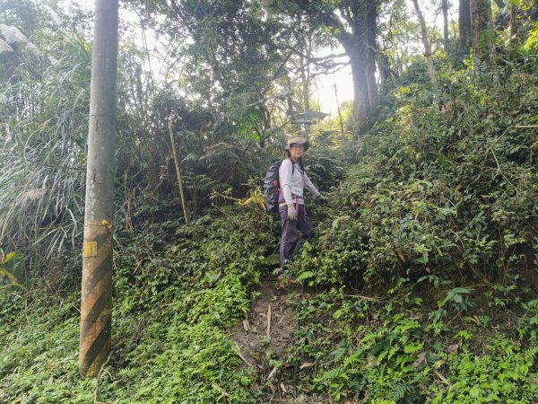 雙石大O繞縱走1150222 年初六3004521