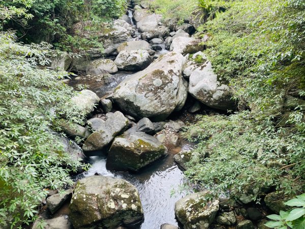 1140926坪頂古圳親山步道2895481