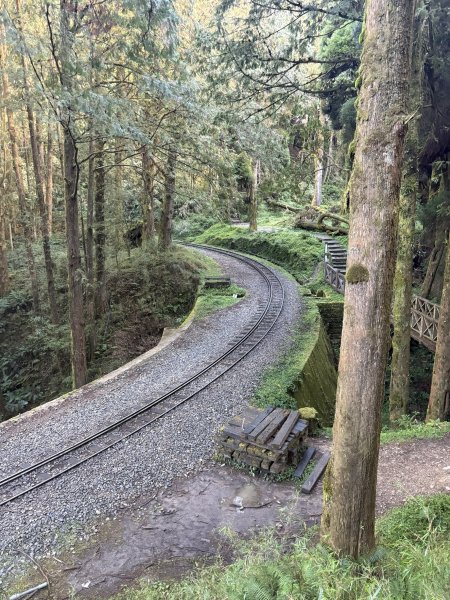 20251225塔山步道(大塔山)2970291