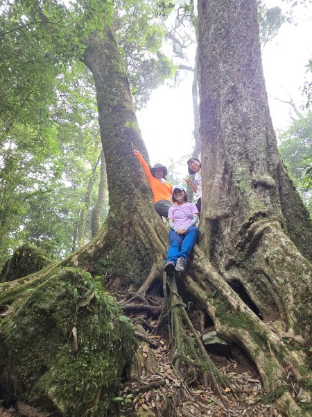 20250817橫笛沙O繞2890028