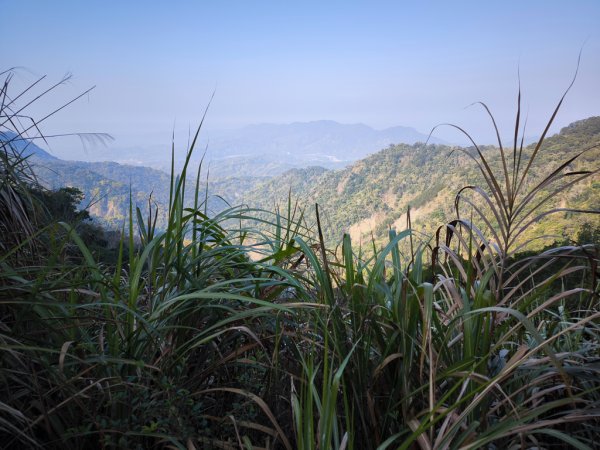 2026-02-10 白雲山2999933