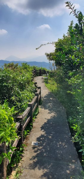 2021-09-20紅淡山登山步道1465704